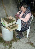 anche la nonna lavora